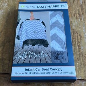 Itzy Ritzy Chevron Gray Car Seat Canopy